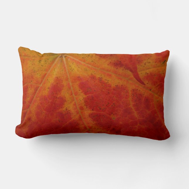 Red Maple Leaf Abstract Autumn Nature Photography Lumbar Cushion (Front)
