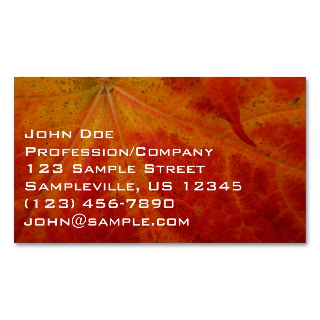 Red Maple Leaf Abstract Autumn Nature Photography Magnetic Business Card (Front)