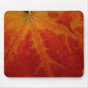 Red Maple Leaf Abstract Autumn Nature Photography Mouse Mat
