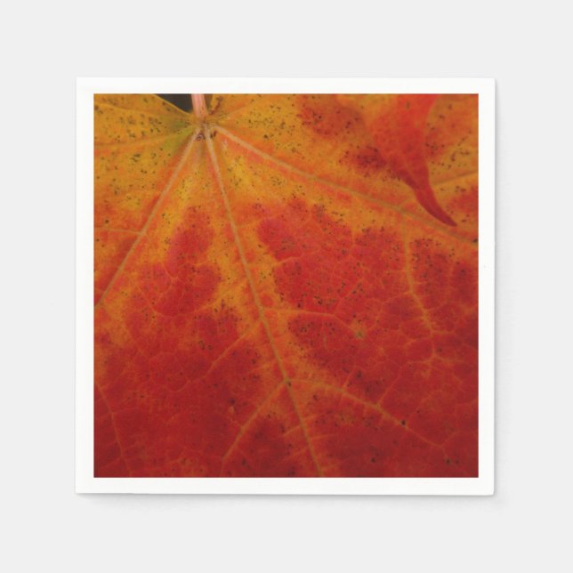 Red Maple Leaf Abstract Autumn Nature Photography Napkin (Front)