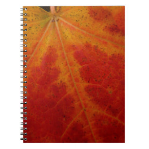 Red Maple Leaf Abstract Autumn Nature Photography Notebook
