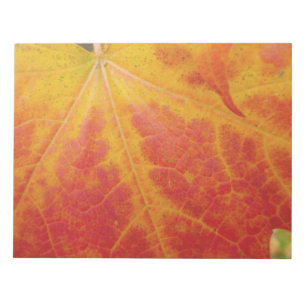 Red Maple Leaf Abstract Autumn Nature Photography Notepad