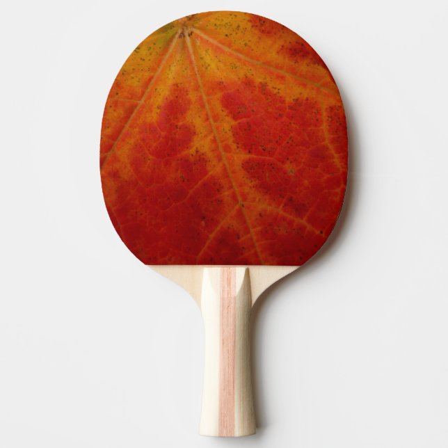 Red Maple Leaf Abstract Autumn Nature Photography Ping Pong Paddle (Front)