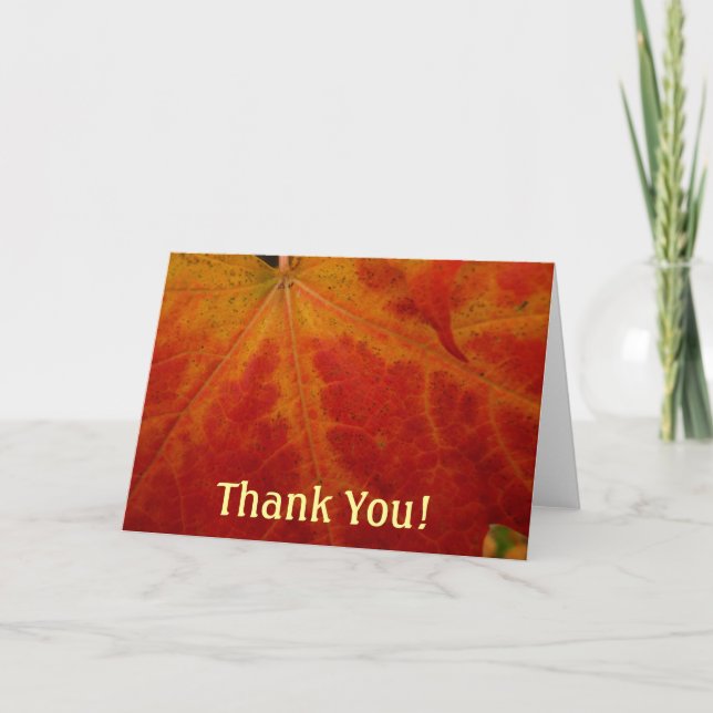 Red Maple Leaf Abstract Autumn Nature Photography Thank You Card (Front)
