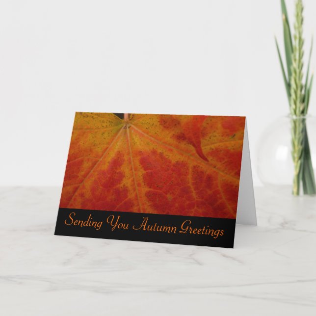 Red Maple Leaf Autumn Greetings Card (Front)