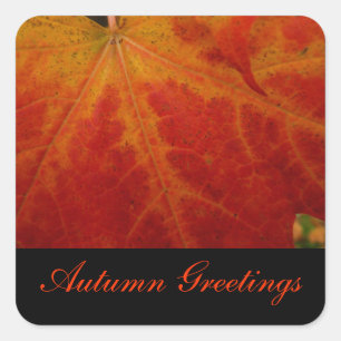 Red Maple Leaf Autumn Greetings Sticker