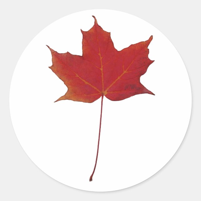 Red maple leaf classic round sticker (Front)