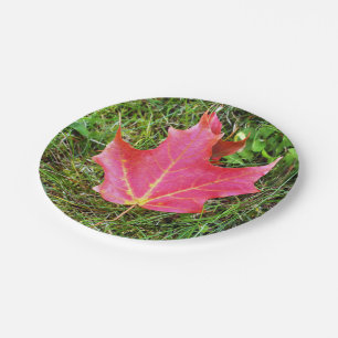 Red Maple Leaf on Grass Paper Plate