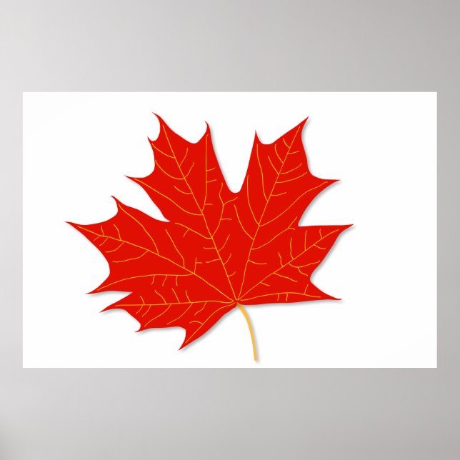 Red maple leaf poster (Front)