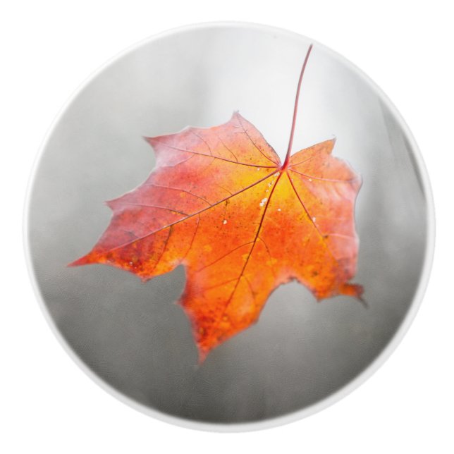 Red Maple Leaf - Velvet Autumn Ceramic Knob (Front)