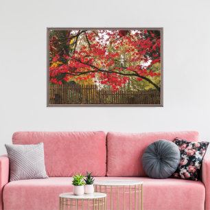 Red Maple Leaves and Bamboo Fence Photo Canvas Print