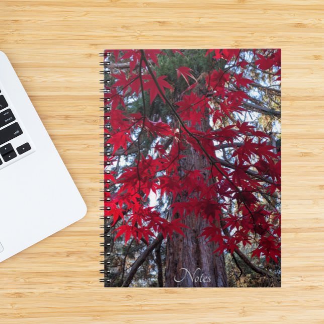 Red Maple Leaves and Giant Sequoia Notebook (In Situ)