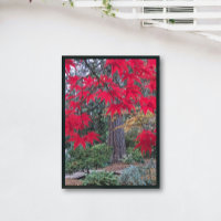Red Maple Leaves in a Japanese Garden