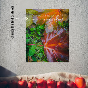 Red maple leaves poster
