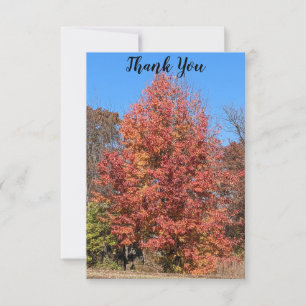 Red Maple Thank You Card