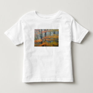 Red Maple tree, Acer rubrum, portrait in foggy Toddler T-Shirt