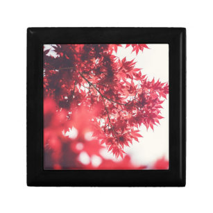Red Maple Tree Leaves Gift Box