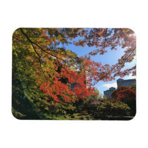 Red Maples at Japanese Garden Magnet