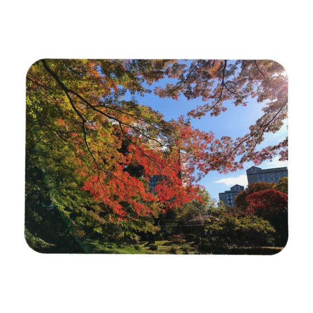 Red Maples at Japanese Garden Magnet (Horizontal)