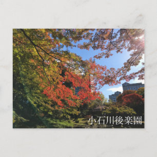 Red Maples at Japanese Garden Postcard