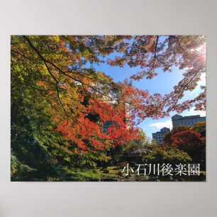 Red Maples at Japanese Garden Poster