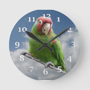 Red Masked Parakeet Wall Clock