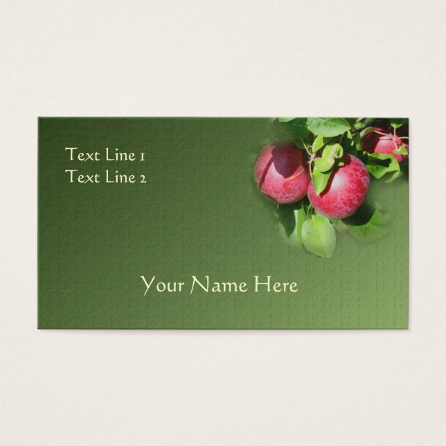 Red McIntosh Apples On Tree Nature (Front)