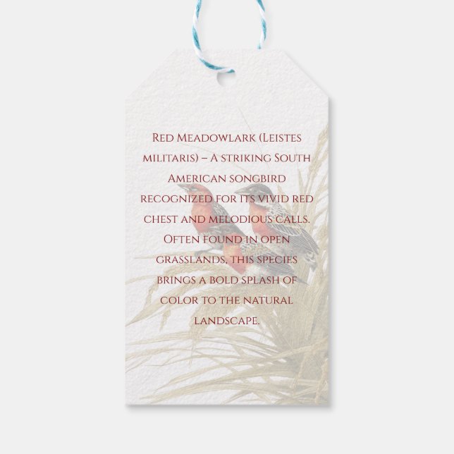 Red Meadowlark Gift Tags (Back)
