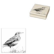 Red Meadowlark Postage Stamp