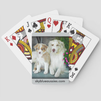 Red Merle Aussie playing cards. Cards