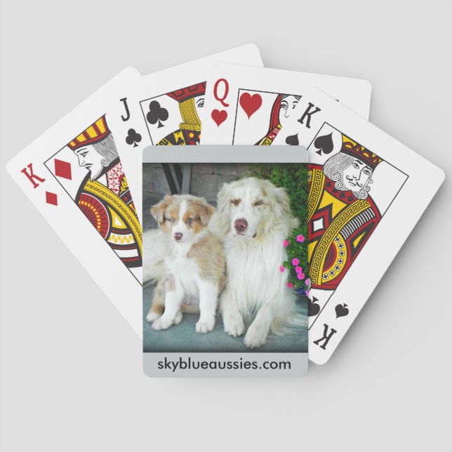 Red Merle Aussie playing cards. Cards (Back)