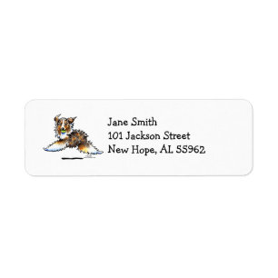 Red Merle Australian Shepherd Lets Play