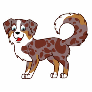 Red Merle Australian Shepherd Photo Sculpture Magnet