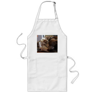 red merle mini aussie sleeping 2 long apron