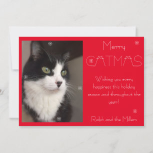 Red Merry Catmas Cat Pet Photo Holiday Card