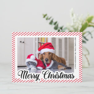 Red Modern Calligraphy Pet Photo Merry Christmas  Holiday Card