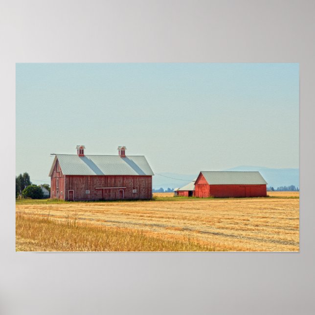 Red Montana Barns Poster (Front)