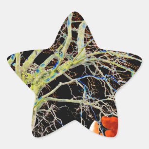 Red Moon Rising Star Sticker