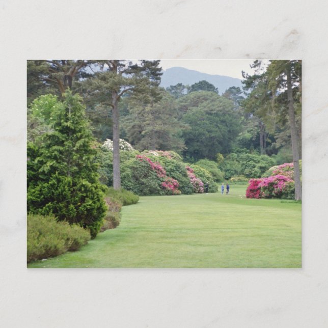 Red Muckross House Gardens, Ireland flowers Postcard (Front)