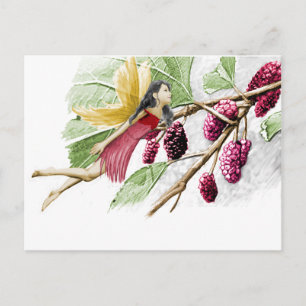 Red Mulberry Tree Fairy Postcard