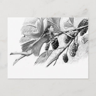 Red Mulberry Tree Fairy Postcard