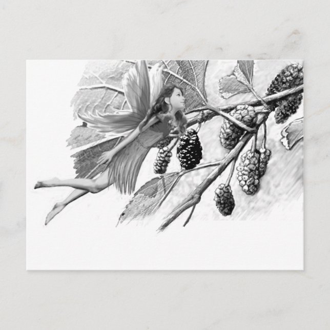 Red Mulberry Tree Fairy Postcard (Front)