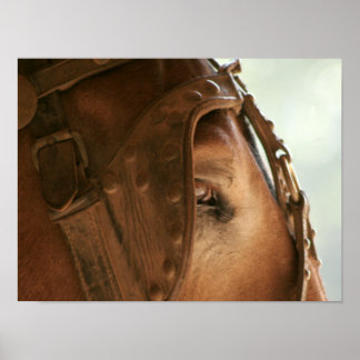 Red Mule - Eye Poster