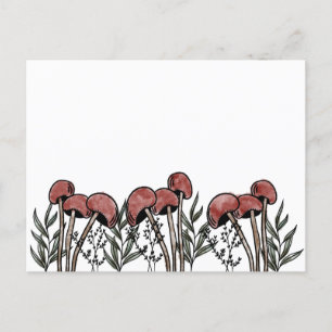 Red Mushroom Caps Postcard