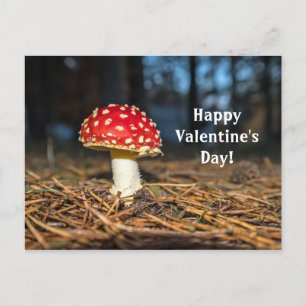 Red Mushroom Valentine's Day Postcard