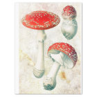 Red mushrooms morel faded distressed background