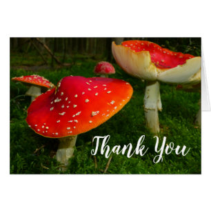 Red Mushrooms Thank You Blank Photo Note Card