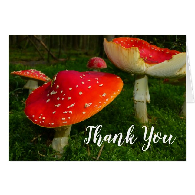 Red Mushrooms Thank You Blank Photo Note Card (Front Horizontal)