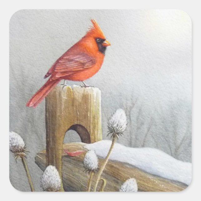 Red Northern Cardinal Bird on Fence Watercolor Art Square Sticker (Front)