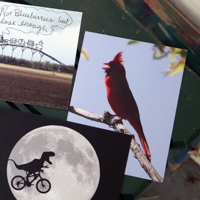 Red Northern Cardinal Bird Postcard (Creator Uploaded)